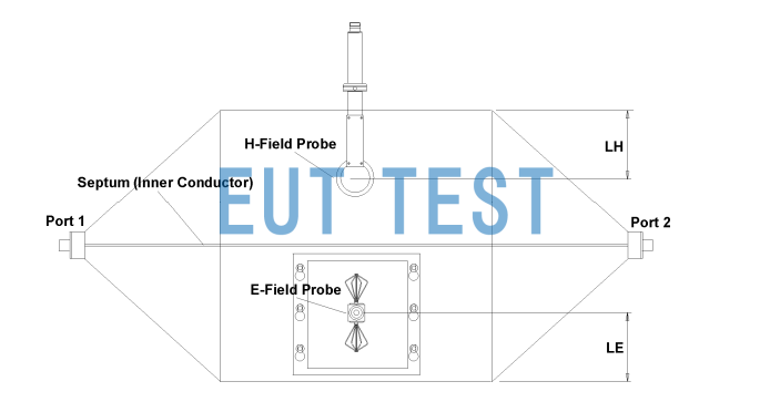 Testing E-field and H-field Probes with the TEMZ 5234